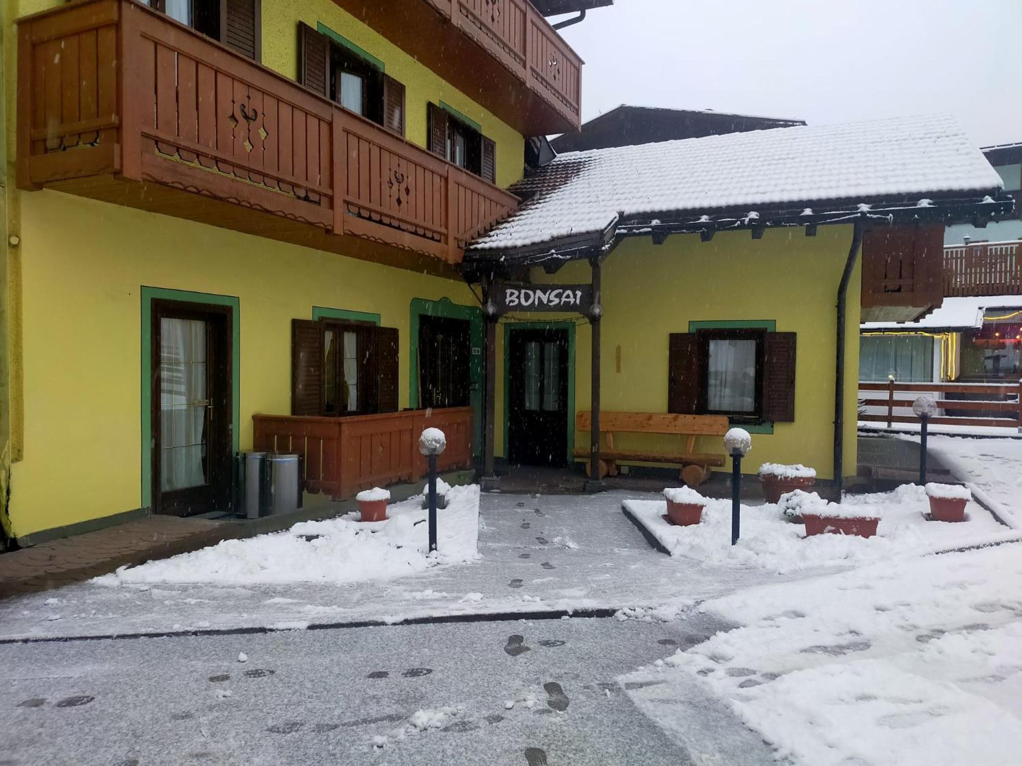 Garnì Bonsai Bed and Breakfast Pinzolo Exteriör bild